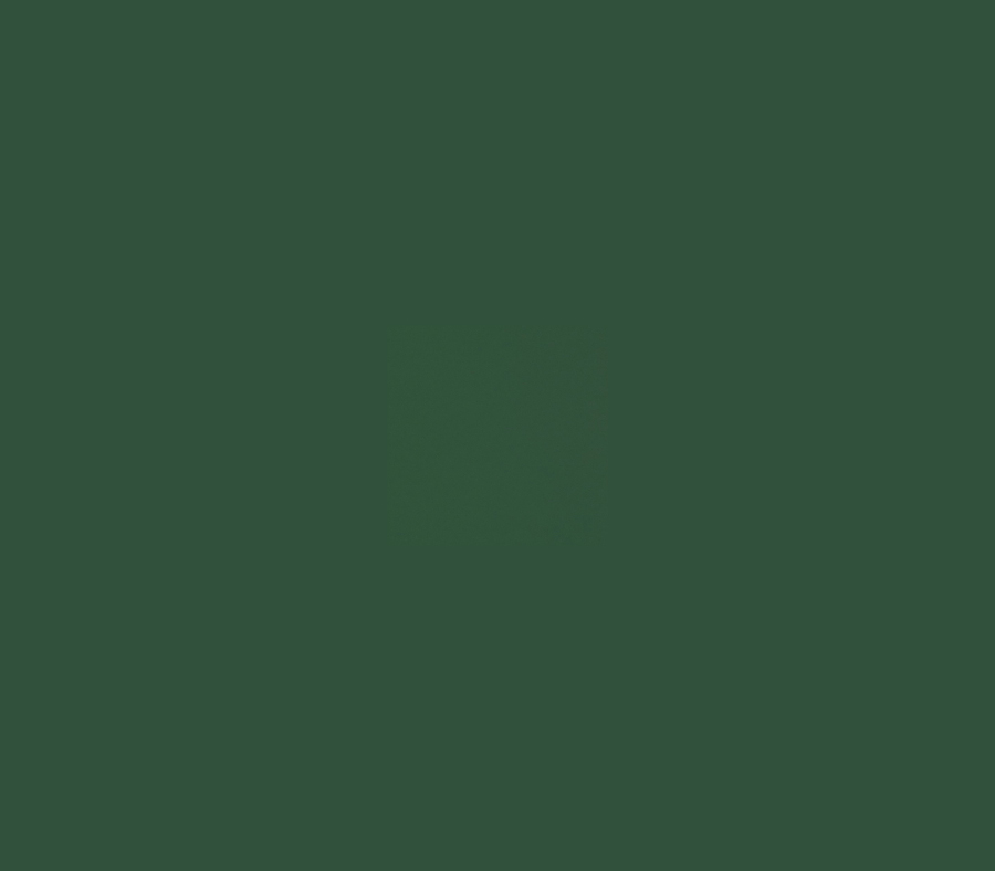 Фон Raylab 006 Dark Green, бумага, 2.72 x 11 м, темно-зеленый