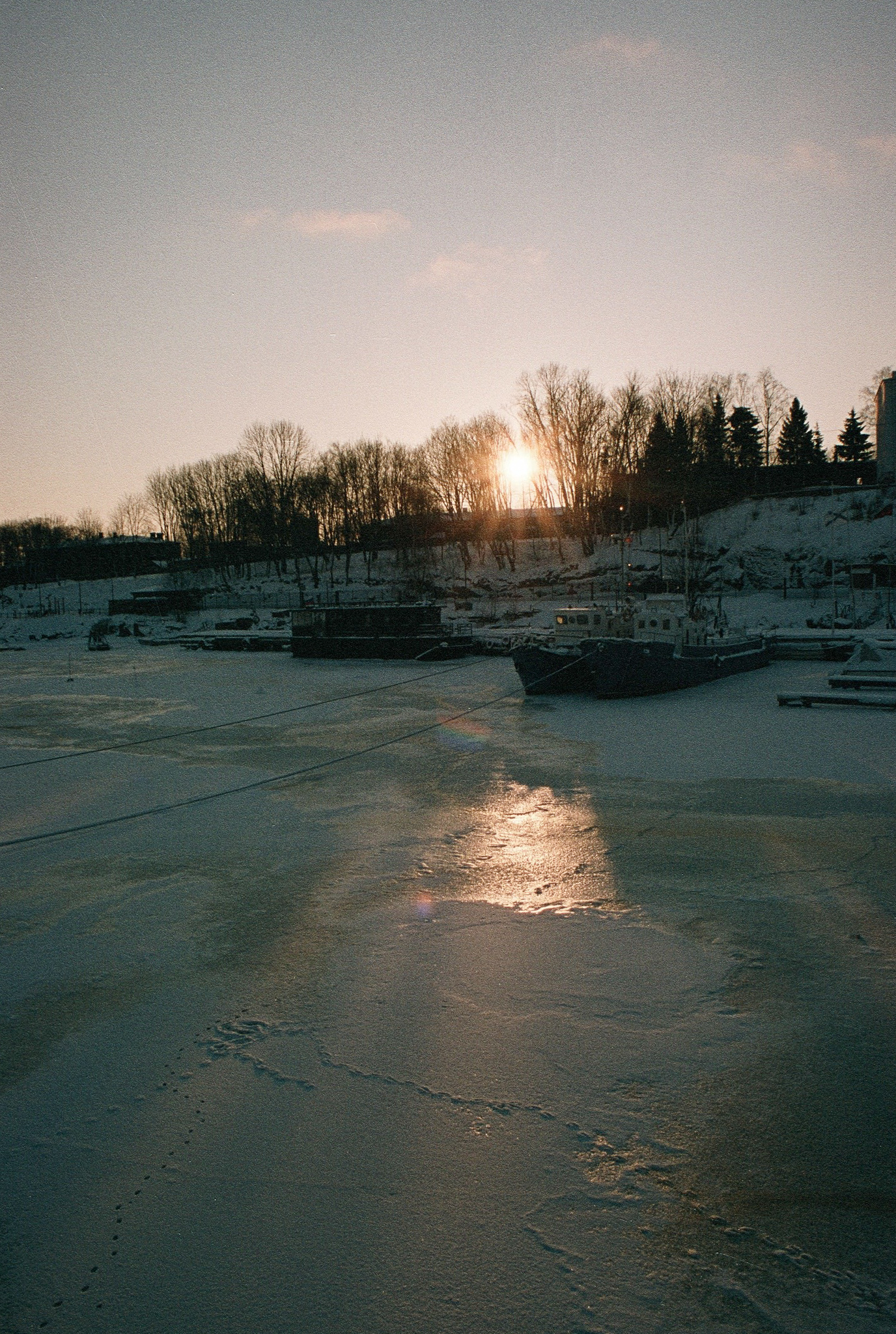 Фотопленка Silberra COLOR160 C-41 135, 36 кадров