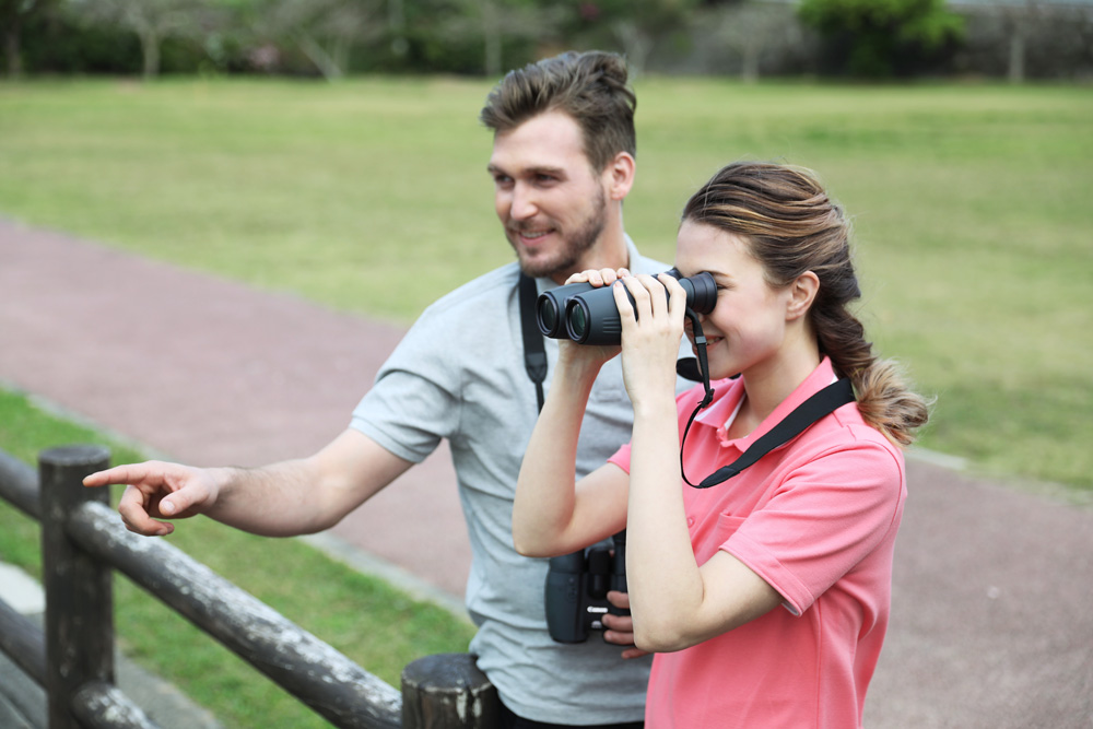 Бинокль Canon 10x32 IS