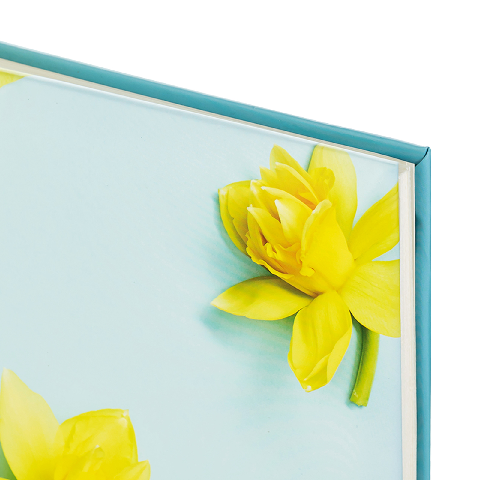 Фотоальбом Fotografia традиционный, 30х30 см, 30 листов, «Цветы», FA-BB30 - 354