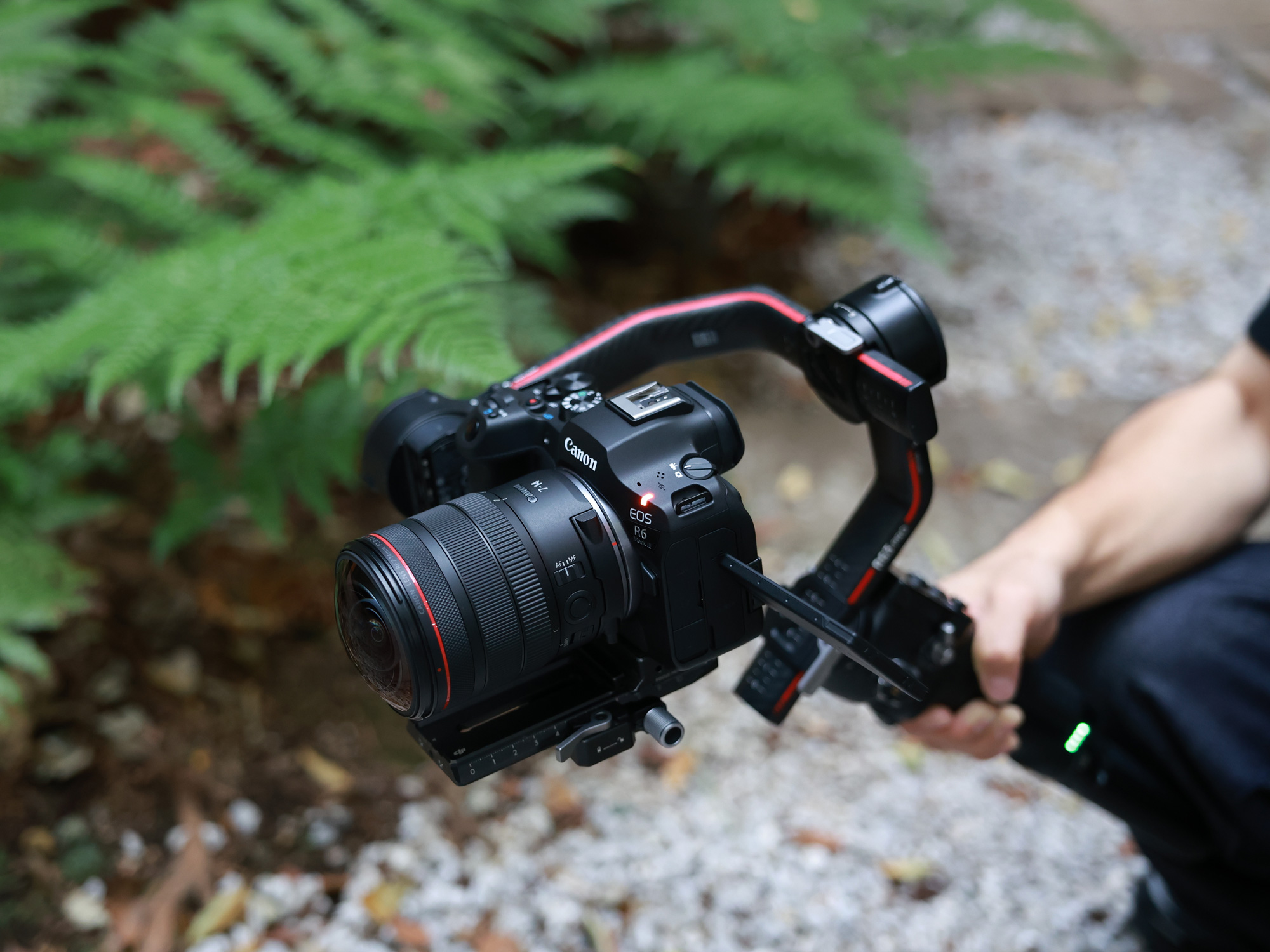 Объектив Canon RF 7-14mm f/2.8-3.5 L Fisheye STM