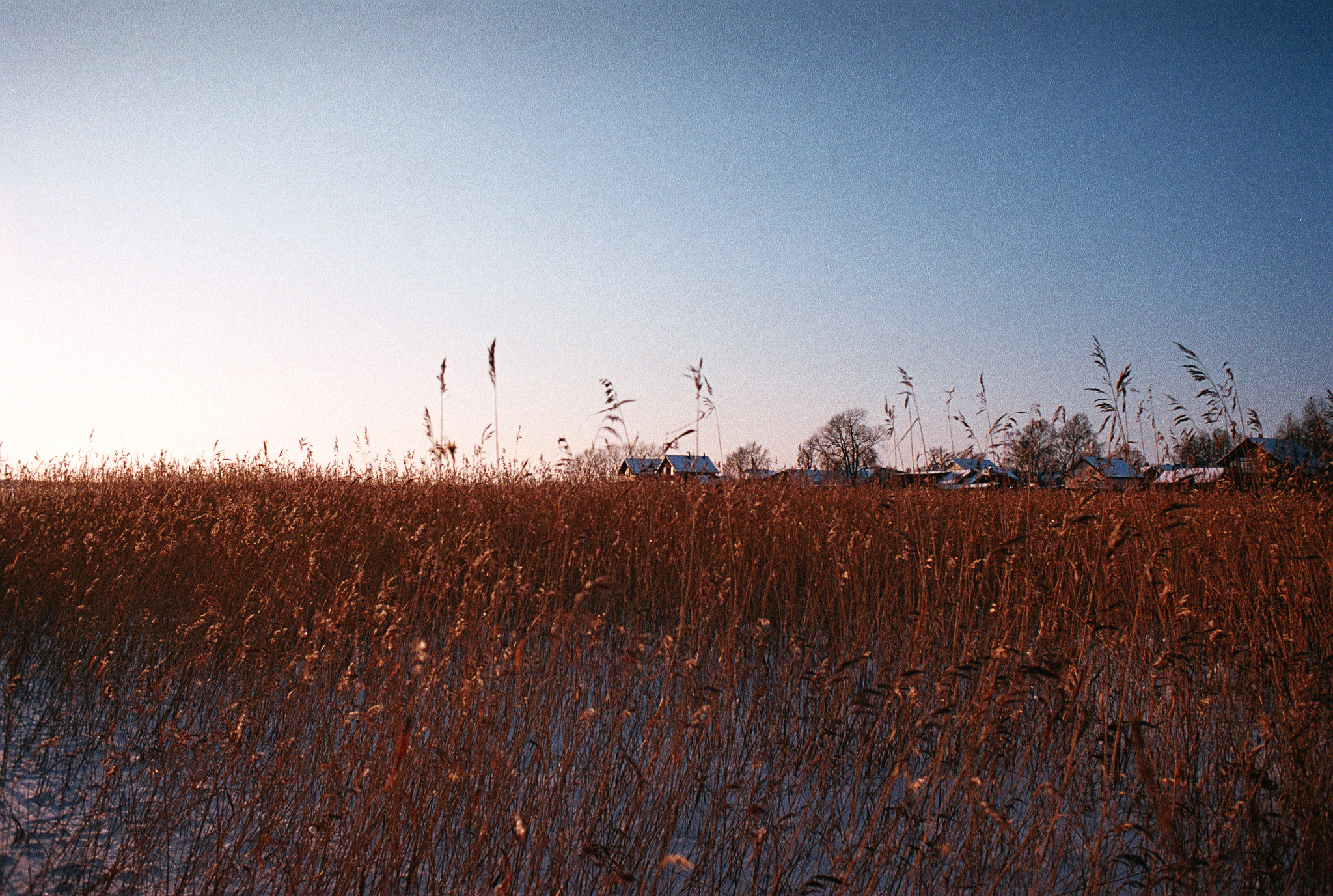 Фотопленка Silberra COLOR160 C-41 135, 36 кадров