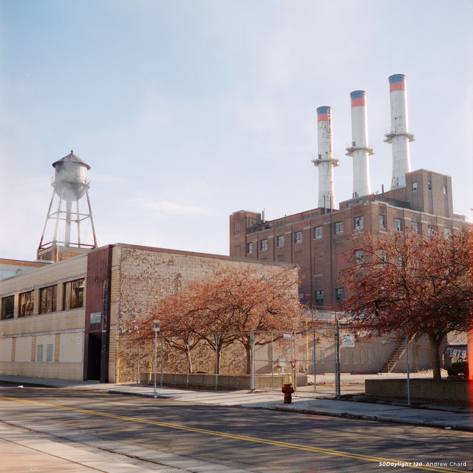 Фотопленка CineStill Xpro 50 Daylight C-41 120