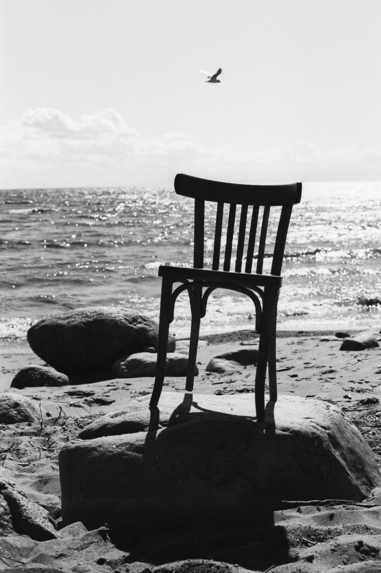 Фотопленка Silberra PAN 160, 36 кадров