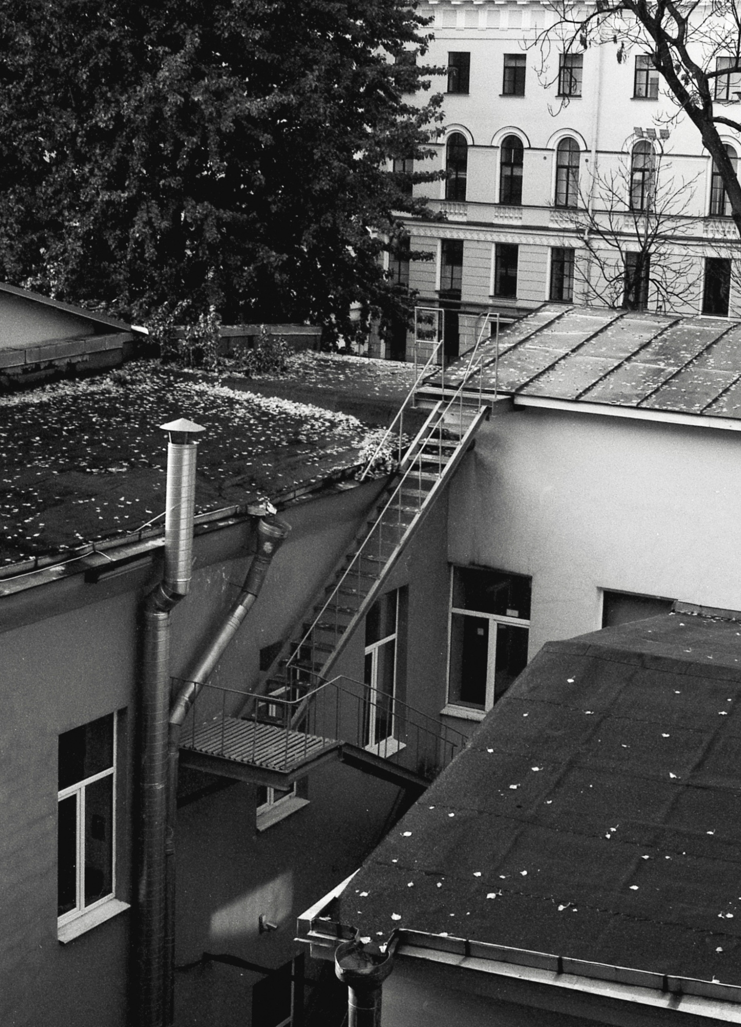 Фотопленка Silberra U200, 36 кадров