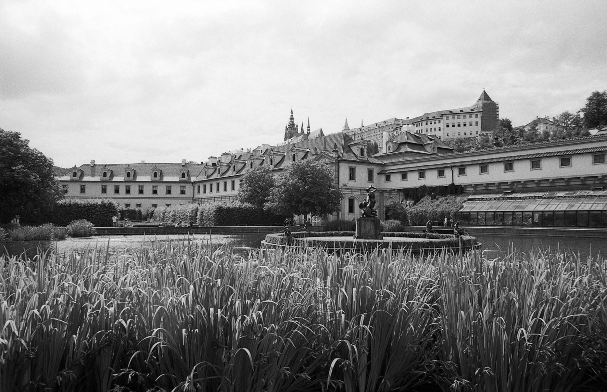 Фотопленка Silberra ULTIMA 160, 36 кадров