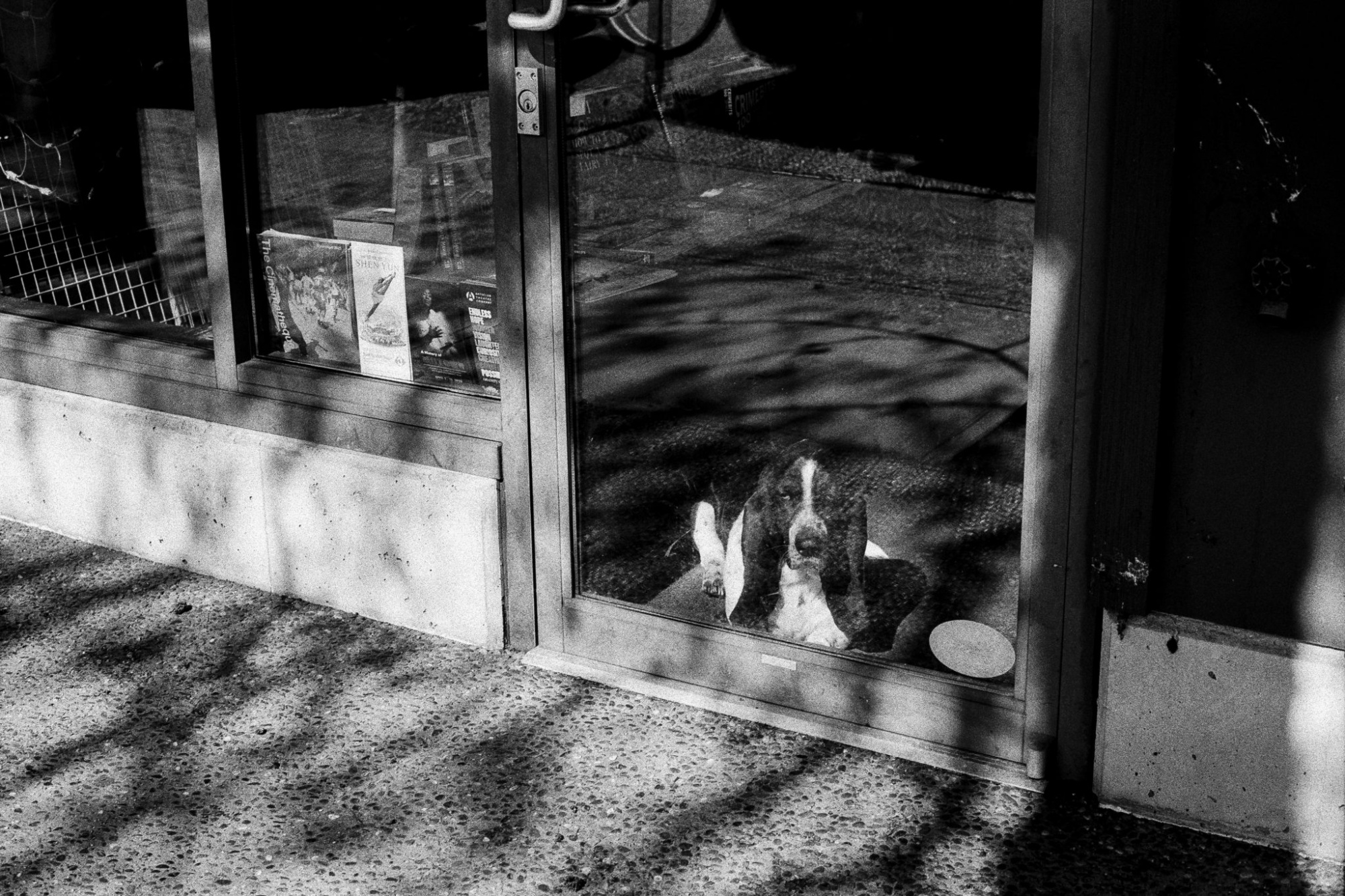 Фотопленка Foma Ortho 400 120