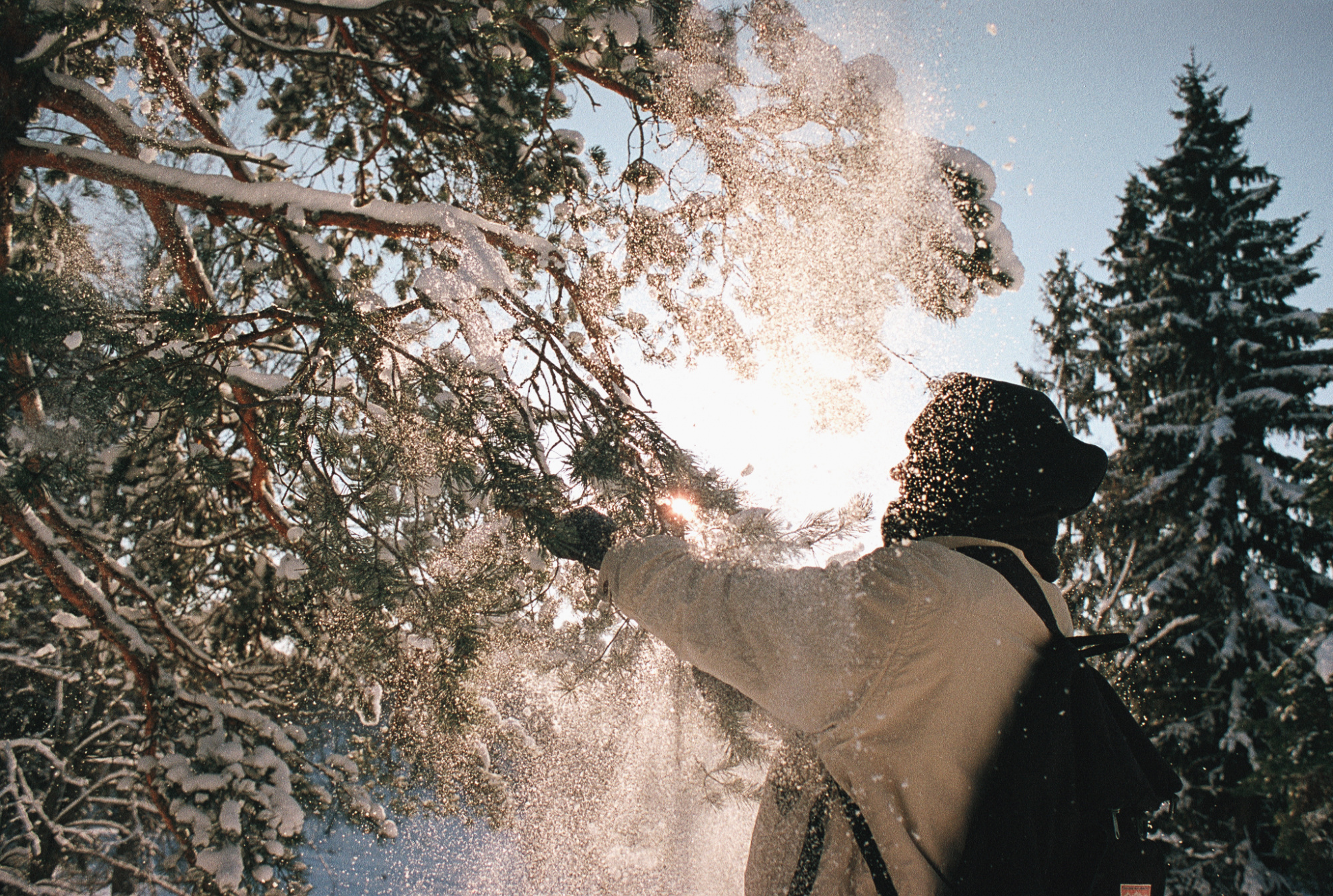 Фотопленка Silberra COLOR160 C-41 135, 24 кадра