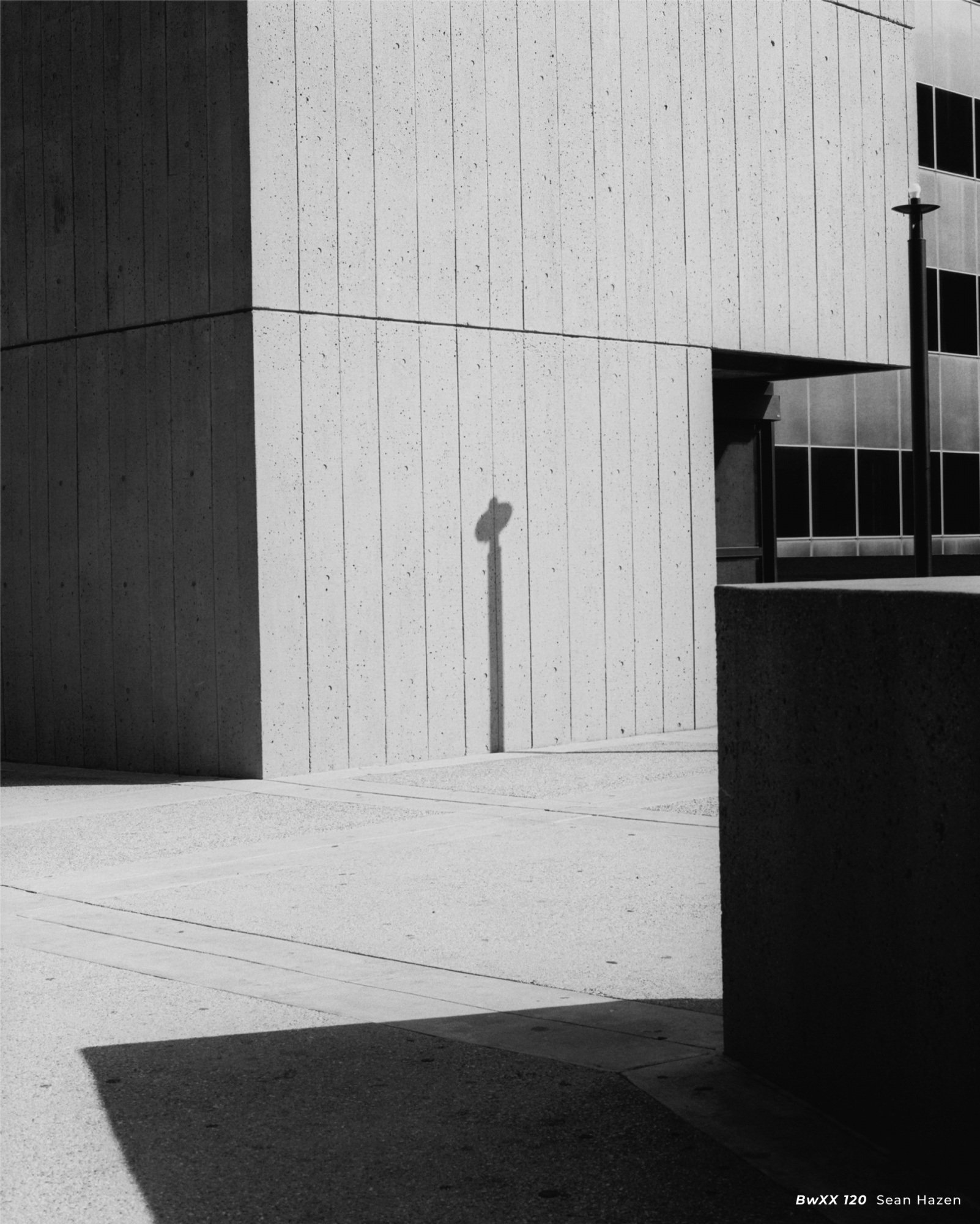 Фотопленка CineStill bwXX 120 (ISO 250)