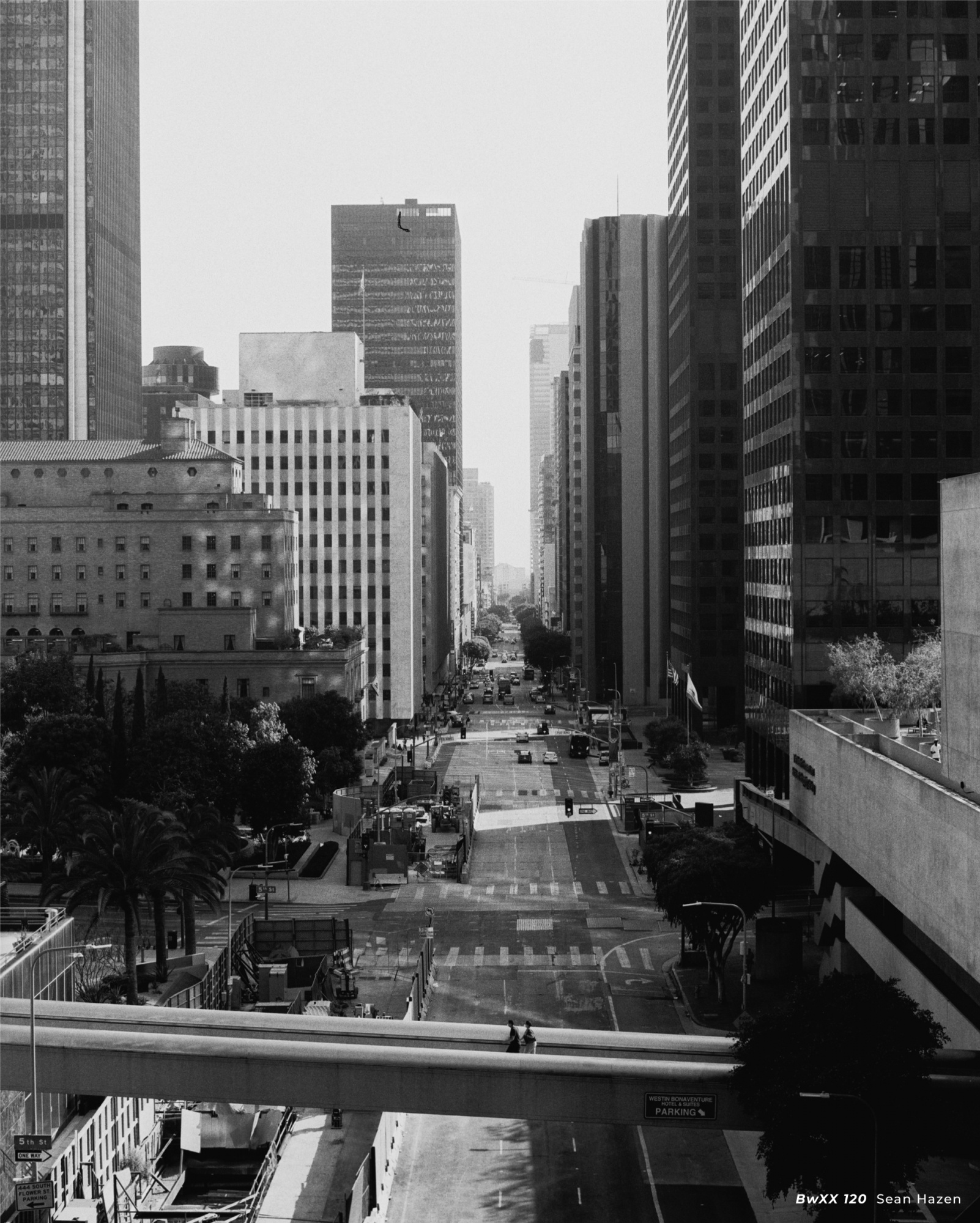 Фотопленка CineStill bwXX 120 (ISO 250)